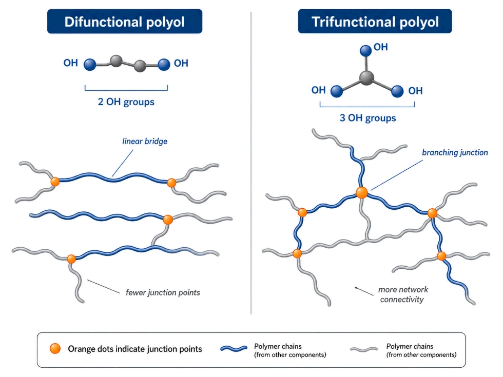 Polyol functionality creating network junction points in polyurethane foam 